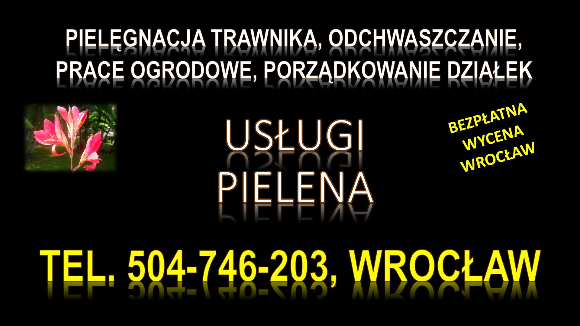 Pielenie działki, cena, tel. 504-746-203. Wrocław. Odchwaszczenie trawnika.
