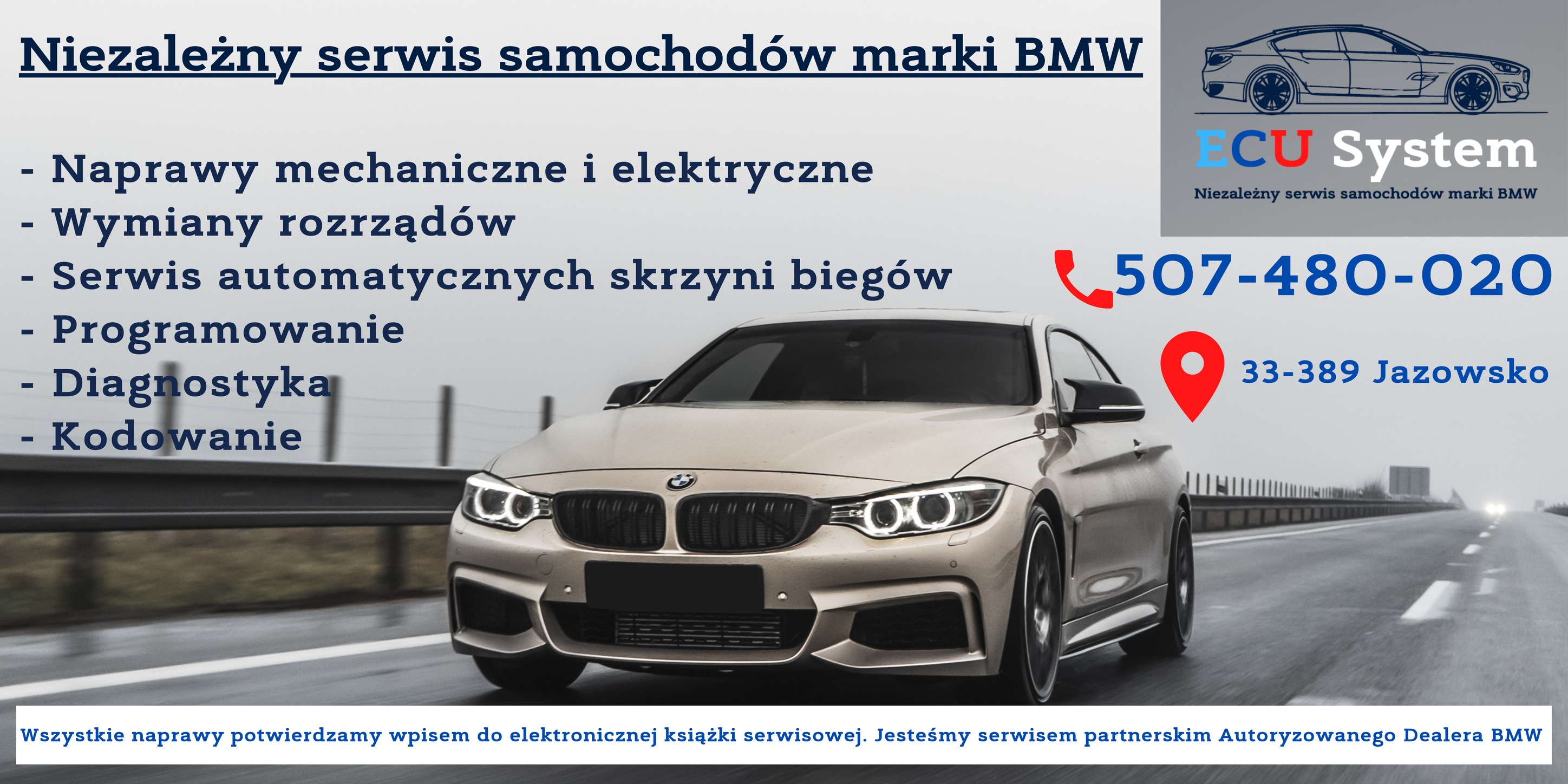 Niezależny serwis samochodów BMW - ECU System