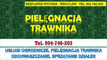 Pielenie i usuwanie chwastów, cennik, tel. 504-746-203, Wrocław. Pielęgnacja trawnik. Usługi  ogrodnicze, odchwaszczenie działki