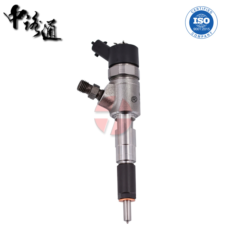 Common Rail Fuel Injector 0 445 110 484