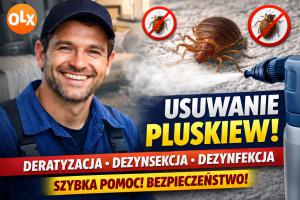 Usuwanie Pluskiew - Skutecznie i Profesjonalnie