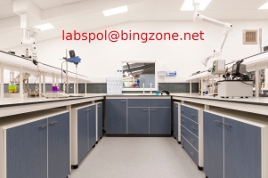 2,5-dimetoksy-beta-nitrostostiren 1kg-czystość laboratoryjna Labs-Pol